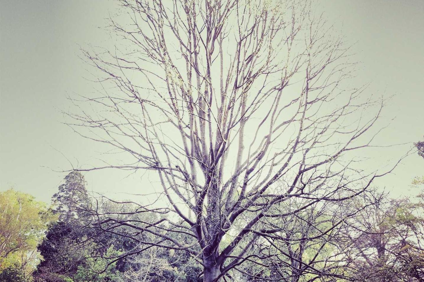 Voluptas perferendis incidunt aspernatur